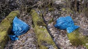 Always leave no trace
